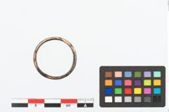 Foto von Bronzefingerring (NHMW-PRAE-025216)